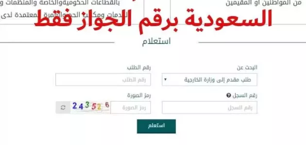 الاستعلام عن تأشيرة زيارة برقم الجواز