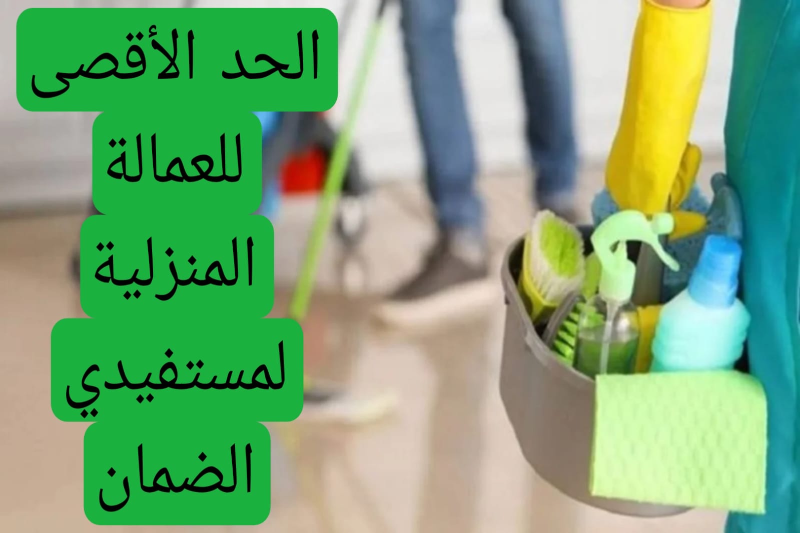 الحد الأقصى للعمالة المنزلية لمستفيدي الضمان