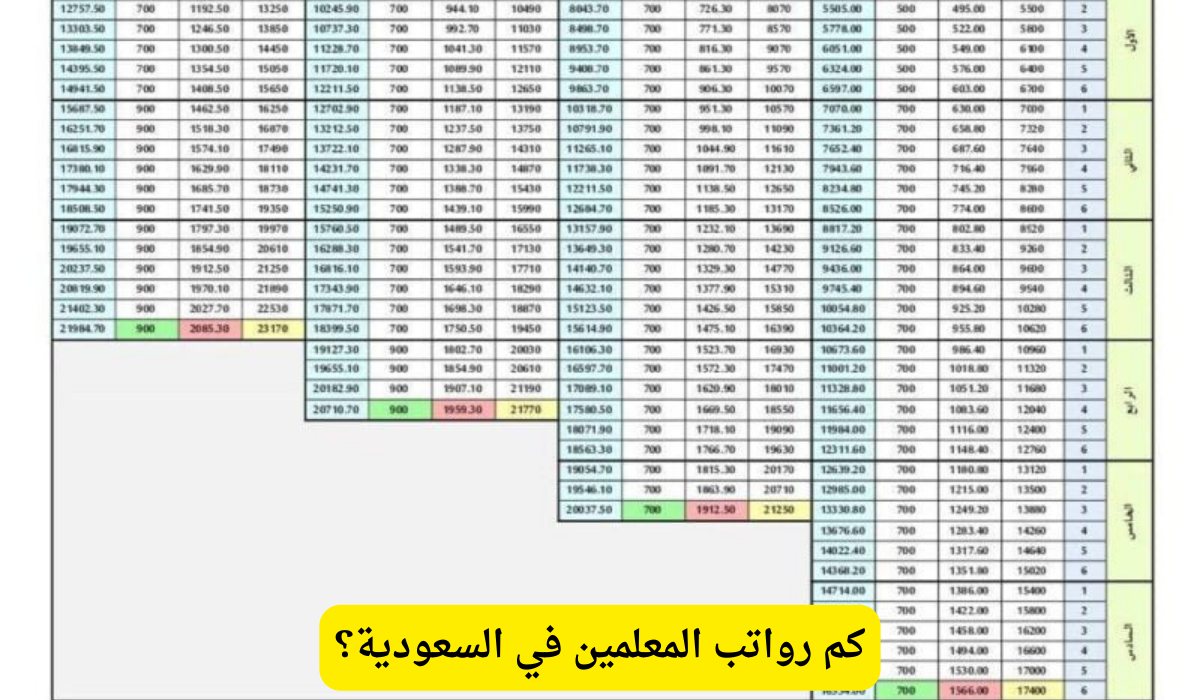 رواتب المعلمين في السعودية